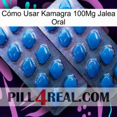 Cómo Usar Kamagra 100Mg Jalea Oral viagra2